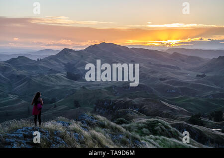 Sunset view from Te Mata Peak near Hastings in Hawkes Bay on North Island, New Zealand. Stock Photo