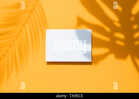 Tropical monstera palm leaf shadow on a white card frame. Orange summer poster. Stock Photo