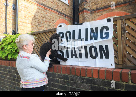 Wimbledon London, UK. 23rd May, 2019. A woman walks her dog to the polling station in Wimbledon to vote at the European Parliament Elections. It is forecast the Brexit Party of Nigel Farage is expected to do well at the expense of Labour and Conservative Parties at Elections which were not suppose to happen if Britain had left the European Union on 29 March  Credit: amer ghazzal/Alamy Live News Stock Photo