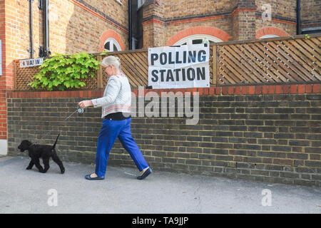 Wimbledon London, UK. 23rd May, 2019. A woman walks her dog to the polling station in Wimbledon to vote at the European Parliament Elections. It is forecast the Brexit Party of Nigel Farage is expected to do well at the expense of Labour and Conservative Parties at Elections which were not suppose to happen if Britain had left the European Union on 29 March  Credit: amer ghazzal/Alamy Live News Stock Photo