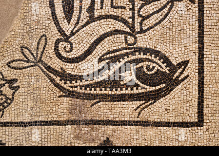 Roman mosaic depicting a dolphin. 2nd century A.D.. Museo Nacional de Arte Romano (National Museum of Roman Art). Merida, Spain Stock Photo