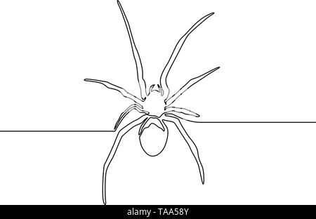 Continuous line spider on white bakcground. One line spider. Vector illustration. Stock Vector