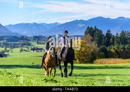 Two sporty women riding on their horses on meadow in bavarian Allgäu Stock Photo