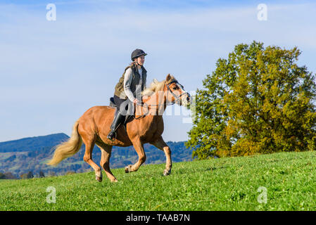 Woman riding out in falltime morning in bavarian Allgäu Stock Photo