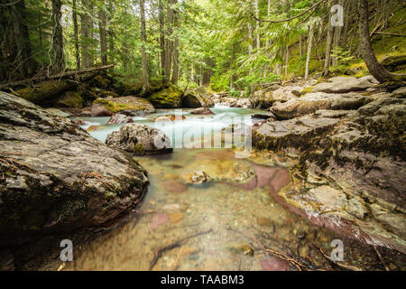 Calming creek in Glacier National park