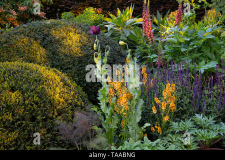 Mixed planting in the Morgan Stanley Garden designed by Chris Beardshaw and winner of a gold medal in the show garden category at the Chelsea Flower S Stock Photo