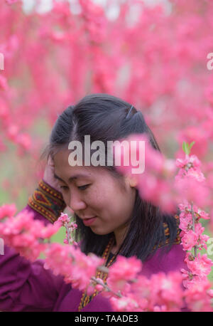 WUHAN-HUBEI/CHINA, MAR 29-2019: Wuhan Botanic Garden. Unspecific young girl is looking at the plum blossom flower in  the part of garden. Stock Photo