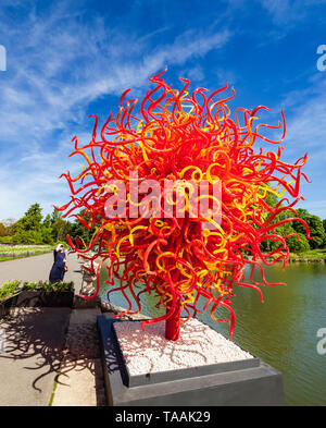 Dale Chihuly glass sculpture called 'Summer Sun' at Kew Gardens. Stock Photo