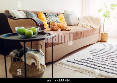 Ginger cat lying on couch in living room and cleaning paws. Cozy home interior decor Stock Photo