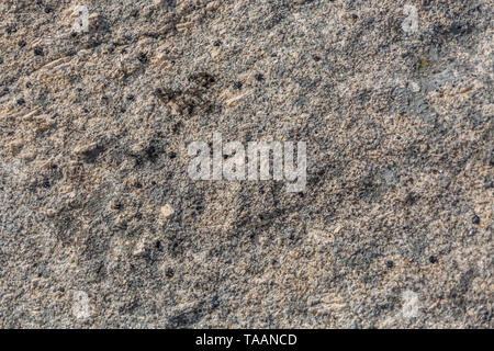 Detailed view of the typical texture of the granite stone, with detail of the various minerals in its composition of the stone Stock Photo