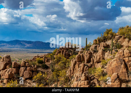 Elevated View Of North Scottsdale Arizona from Pinnacle Peak Hiking  Trail in Spring Stock Photo