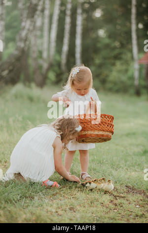 two little girls playing with ducks in the park. Two girls at sunset with lovely ducklings Stock Photo