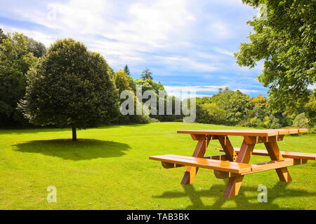 Empty wooden picnic table on a green meadow with trees - Image with copy space Stock Photo