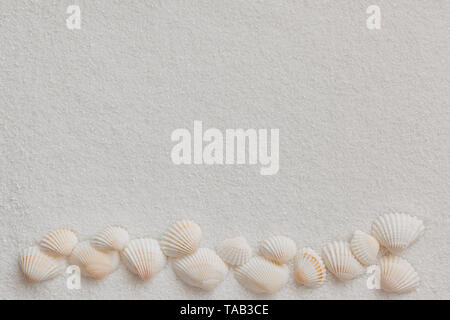 White beach shells lying on white sand, top view Stock Photo
