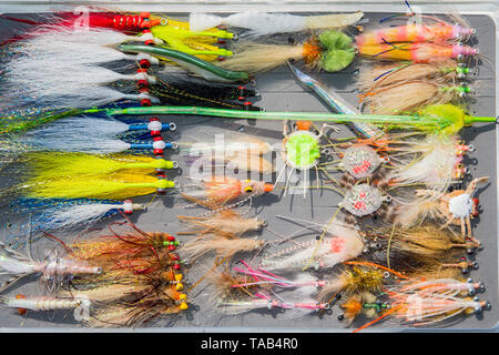Saltwater fly fishing different fly fishing bugs in box Stock Photo - Alamy