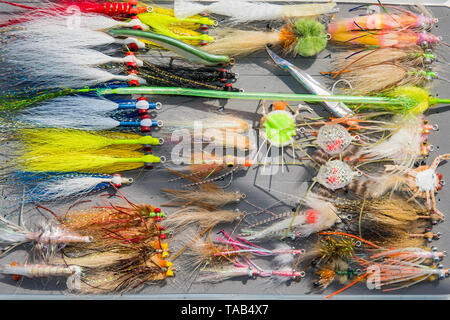 Saltwater fly fishing different fly fishing bugs in box Stock Photo