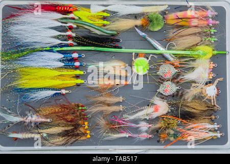 Saltwater fly fishing different fly fishing bugs in box Stock Photo