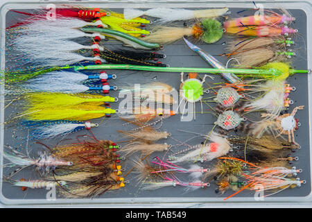 Saltwater fly fishing different fly fishing bugs in box Stock Photo