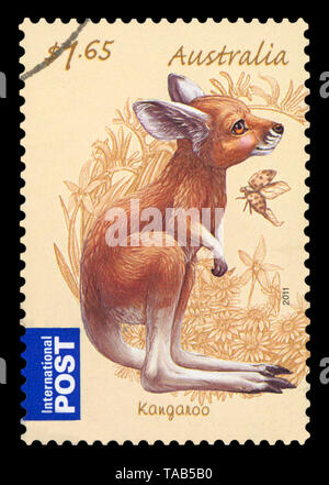 AUSTRALIA - CIRCA 2011: A stamp printed in Australia shows Kangaroo, circa 2011. Stock Photo