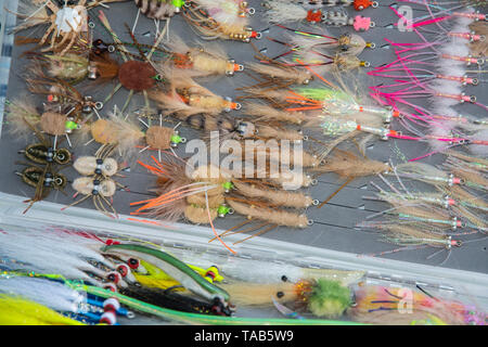 Saltwater fly fishing different fly fishing bugs in box Stock Photo