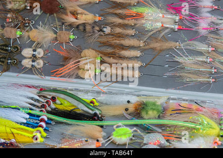 Saltwater fly fishing different fly fishing bugs in box Stock Photo