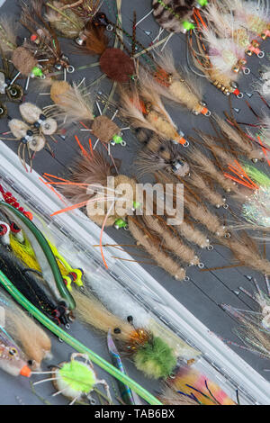 Saltwater fly fishing different fly fishing bugs in box Stock Photo