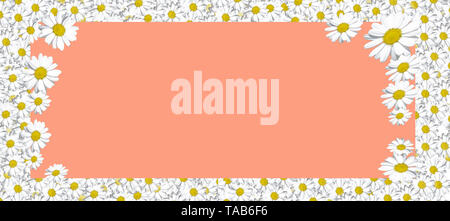 Flowers composition. Frame made of Daisys background. Flat lay, top view, square, copy space, layout background space for text Stock Photo