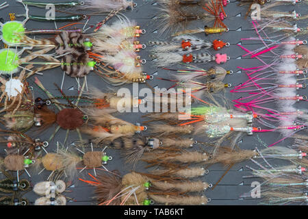 Saltwater fly fishing different fly fishing bugs in box Stock Photo