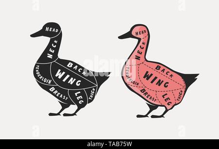 Diagram guide for cutting meat, butcher shop. Duck vector Stock Vector