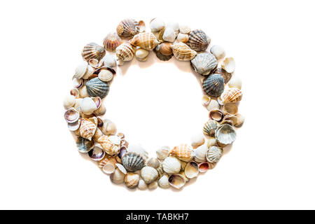 Round circle frame from different seashells isolated on white background with space for text. Mollusk seashell texture. Stock Photo