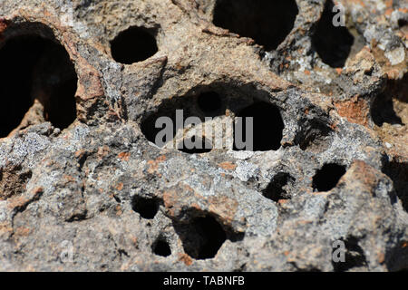 Natural Porous Lichen Covered Rock With Cavities Stock Photo