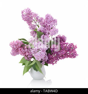 Bouquet of Lilacs in a Glass Vase isolated on white. Branch with Lilac Flowers. Stock Photo