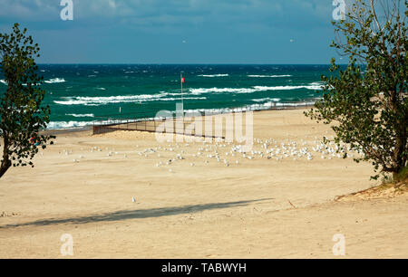 beach scene; Lake Michigan; blue water; waves, sand; sea gulls, shrubs, Warren Dunes State Park; Sawyer; MI; summer; horizontal Stock Photo