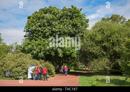 Visitors to the Royal Botanic Garden in Edinburgh consulting the noticeboard bnear the East Gate. Stock Photo