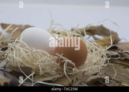 White and brown eggs among a pile of straw simulating a nest in a haystack Stock Photo