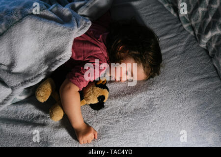 Toddler girl sleeping in bed with a soft toy dog Stock Photo