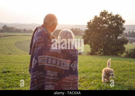 Back view of senior couple standing on a meadow at sunset watching their dog Stock Photo