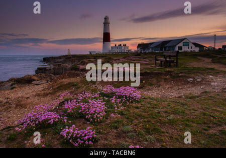 Portland, Dorset, UK. 23rd May 2019. UK Weather: The sun sets behind the iconic Portland Bill lighthouse on the Isle of Portland at the end of a beautiful spring day.  The delicate pink sea thrift flowers are in full bloom making the lighthouse particularly pictureseque at this time of year.  Credit: Celia McMahon/Alamy Live News.