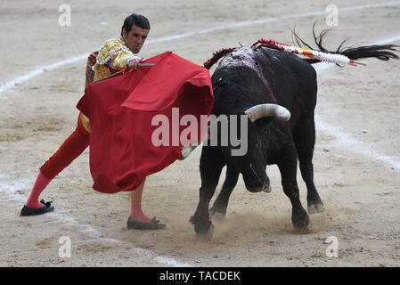 Spanish matador Emilio de Justo is seen performing with a Jandilla ...