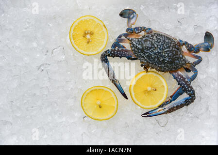 Seafood crab on ice background / Fresh Blue Swimming Crabs and lemon ocean gourmet on ice bucket in the supermarket Stock Photo