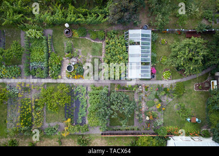 Aerial view of vegetable urban garden Stock Photo