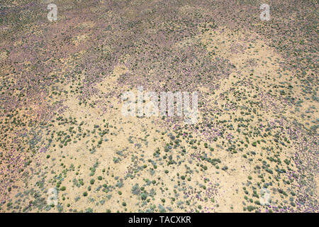 Aerial view of the terrain in the Namaqua National park in the Northern Cape Province of South Africa. Stock Photo