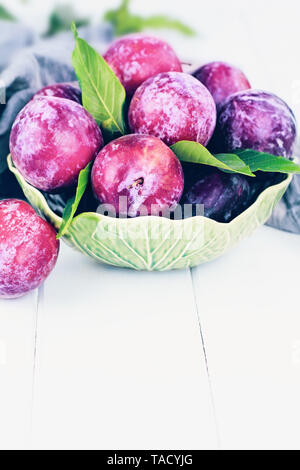 Freshly picked homegrown organic plums from the tree with leaves in a bowl. Stock Photo