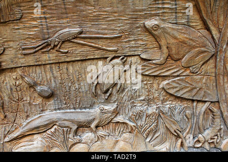 Wooden Carved Plaque Showing Pond Life Stock Photo