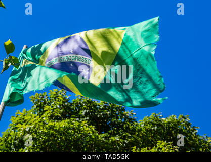 Flag of Brazil torn. Flag of Brazil blowing on a background of nature ...