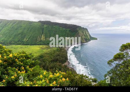 USA, Hawaii, Big Island, Waipio Valley, Waipi'o Black Sand Beach Stock Photo