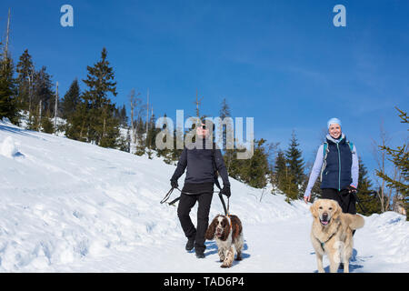 Germany, Bavarian Forest, Lusen, woman and man with dogs hiking in winter Stock Photo