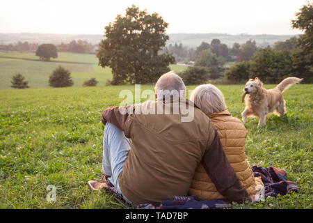 Back view of senior couple sitting on a meadow at sunset watching their dog playing Stock Photo