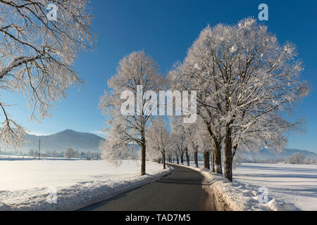 Germany, Upper Bavaria, Benediktbeuern, empty country road in winter Stock Photo
