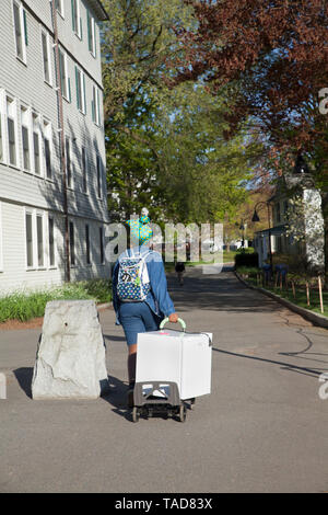 Student hauls a small refrigerator at the end of the spring semester. Stock Photo